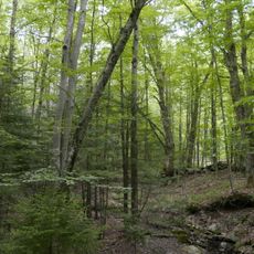 Molly Stark State Park