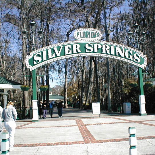 Silver Springs