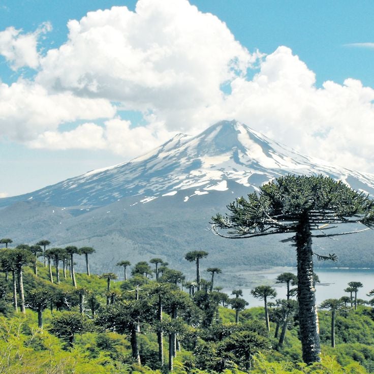 Conguillío National Park