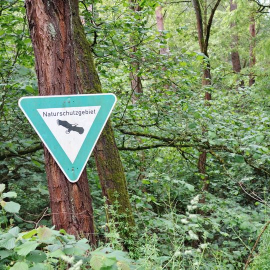 Im Woog von Hainstadt