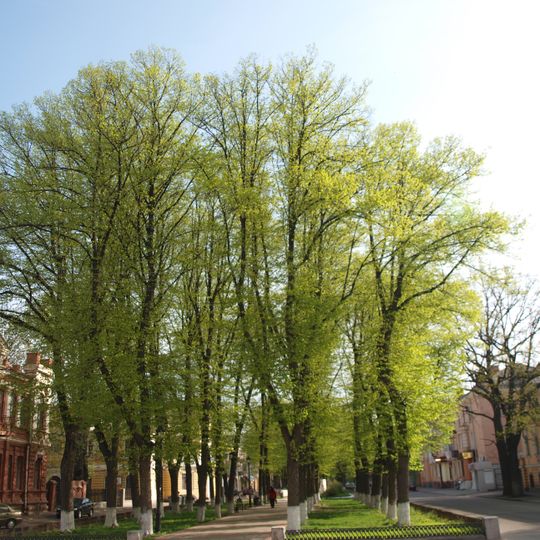 Hohol Boulevard, Poltava
