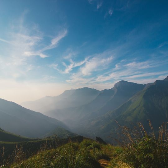 Parco nazionale di Pampadum Shola
