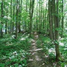 2. grodzisko w Marwiance