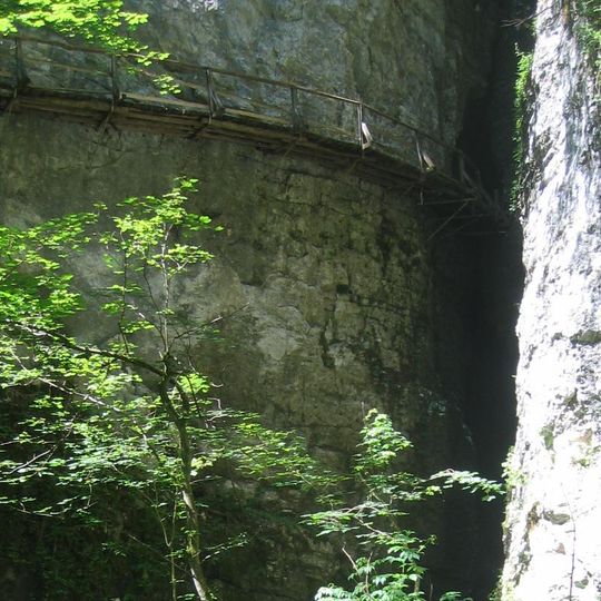 Pokljuka Gorge