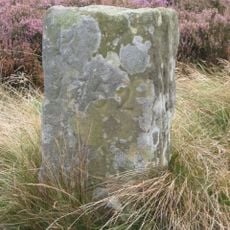 Boundary Stone, Approximately 1300 Metres To South West Of Highcliff Farmhouse At Ngr Nz600 123