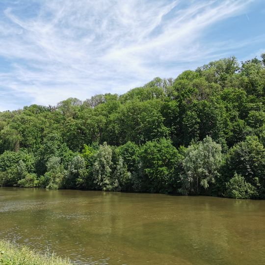 Oeffinger Scillawald