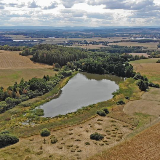 Velký Raputovský rybník