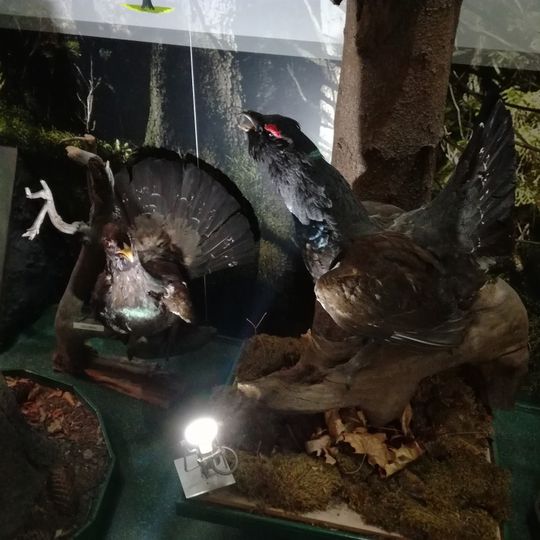 Ośrodek Edukacyjny Babiogórskiego Parku Narodowego