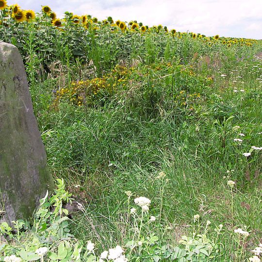 Sächsisch-Preußischer Grenzstein: Pilar Nr. 190