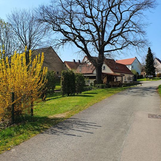 Stieleiche in Breitenbach