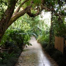 South Ural Botanical Garden-Institute