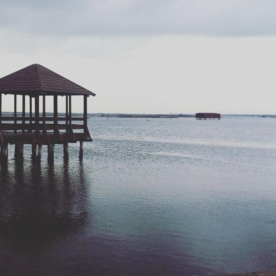 Delta del Po: tratto terminale e delta veneto