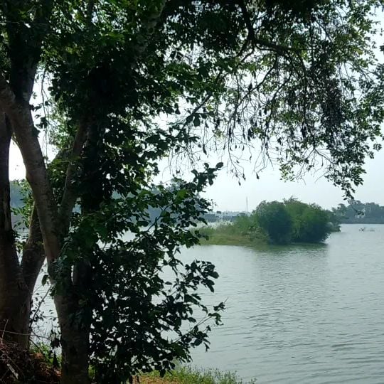 Vaduvoor Bird Sanctuary