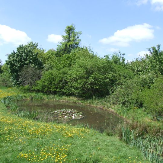 Ali's Pond Local Nature Reserve