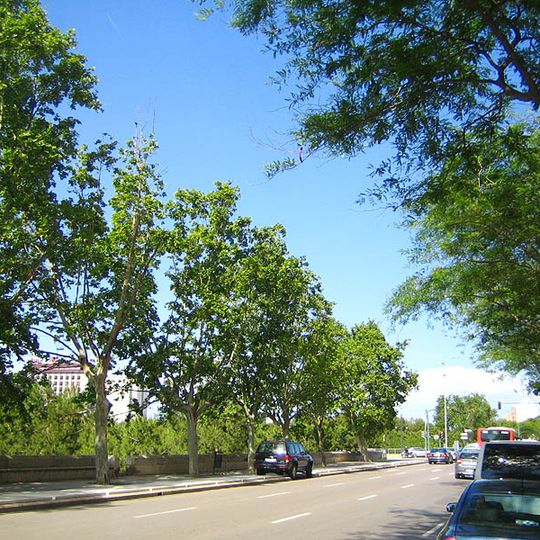 Passeig de la Petxina