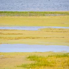 Area naturale protetta La Querciola