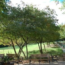 Ewen Park