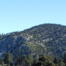 Timber Mountain
