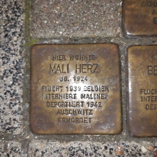 Stolperstein en memoria de Mali Herz