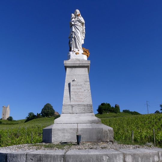 Our Lady of the fields and vines