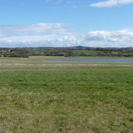 Queen Elizabeth Diamond Jubilee Wood