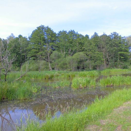 Hammer-Luch bei Löben