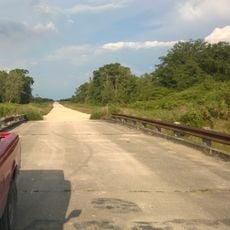 Picayune Strand State Forest
