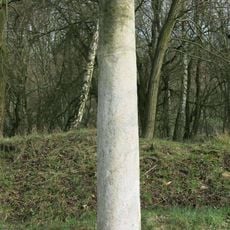 Kamenný sloup u silnice do Čeřeniště