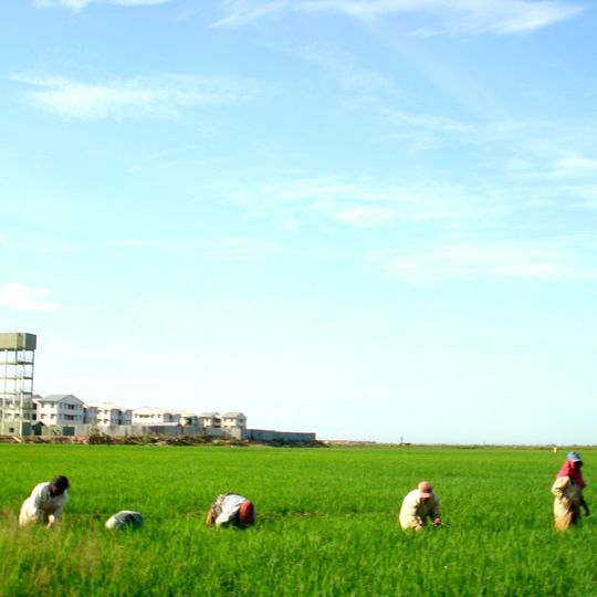 Kalmunai