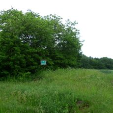 Nekhvoroshchi zakaznyk