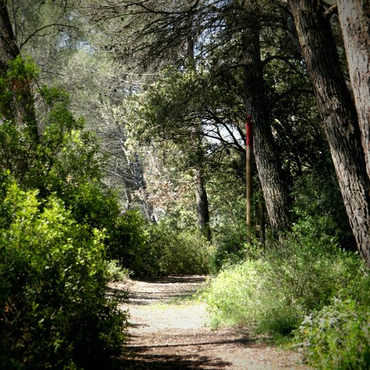 Ecomuseum of the Mediterranean forest