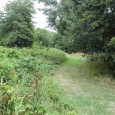 Elmbridge Open Space