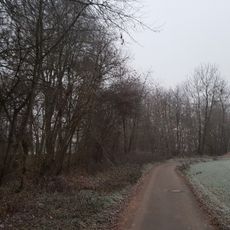 Naturdenkmal Auewald Schollenwirt Impfinger Grund/Unteres Brücklein