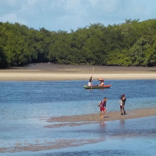 Área de Relevante Interesse Ecológica Manguezais da Foz do Rio Mamanguape