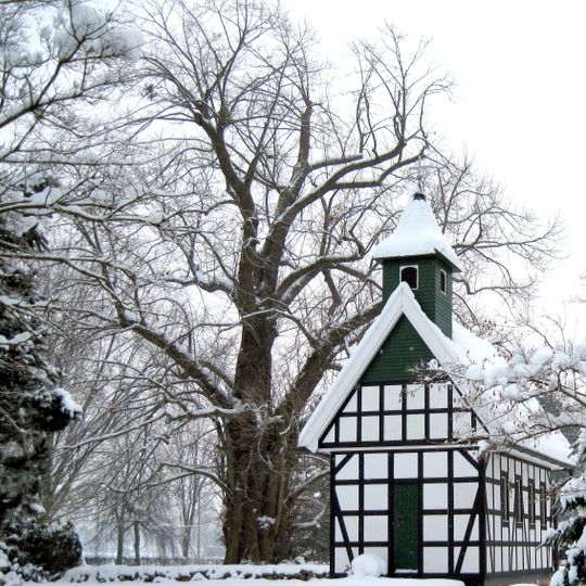 Friedhofslinde in Stemwede-Oppenwehe