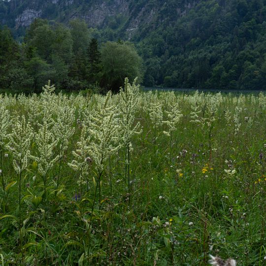 Laudachsee und die Laudachmoore