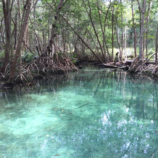 Reserva de la Biósfera de Los Petenes