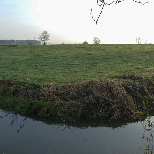 Terrein met een wierde