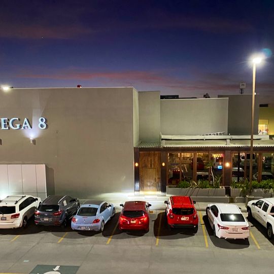 Bodega 8