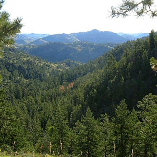 Selva Cache La Poudre