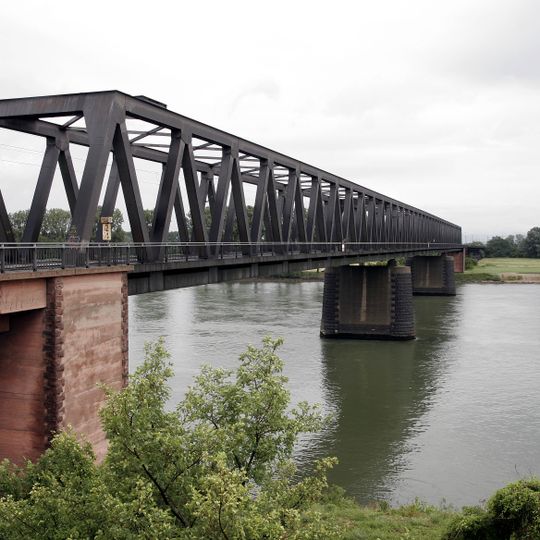 Rhine Bridge