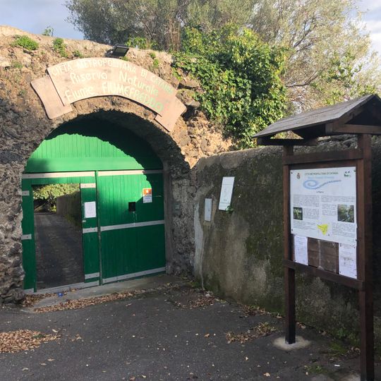 Riserva naturale Fiume Fiumefreddo