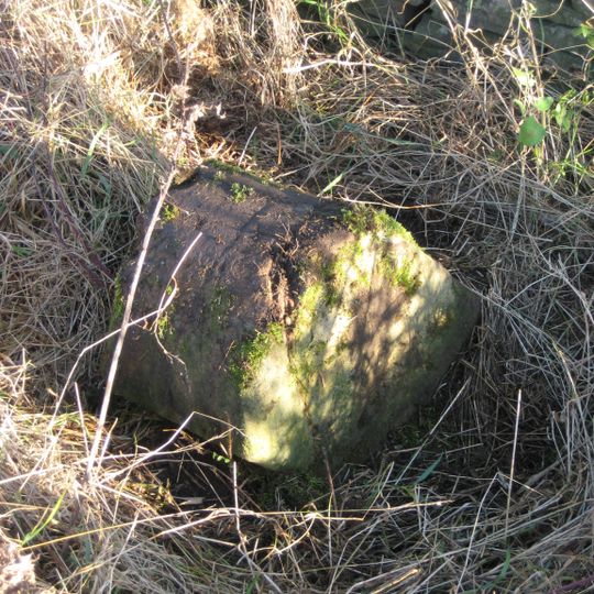 Township Road Marker Stone C.50 Metres East Of Moss Mire