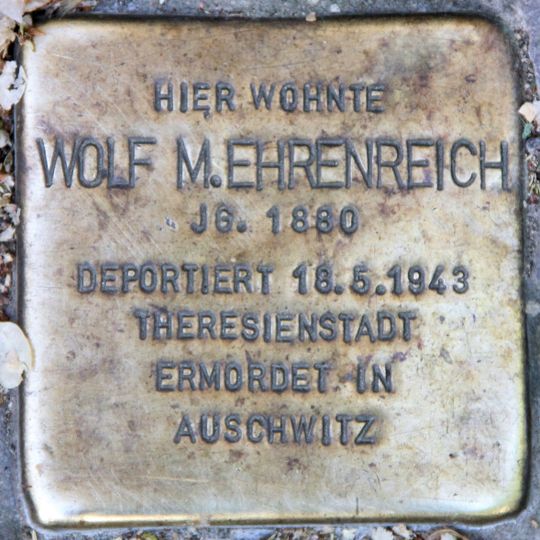Stolperstein dedicated to Wolf Meier Ehrenreich