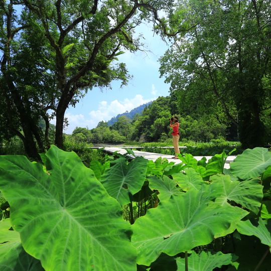 Parc national de Thale Ban