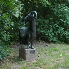 Afrikanische Zwergziege