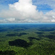 Amazonas regnskog