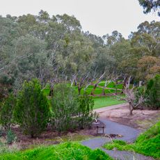 Torrens Linear Park