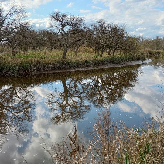 Luján River