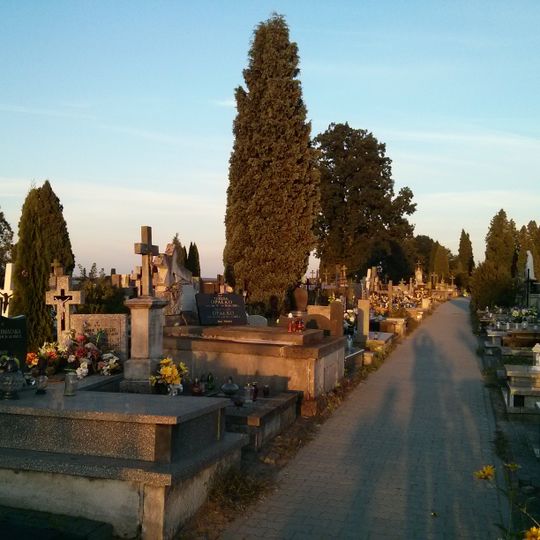 Cmentarz parafialny przy kościele w Końskiu